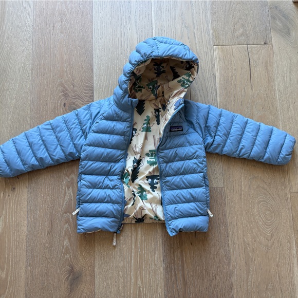 Patagonia Reversible Down Sweater Hoody - Picture 2 of 4